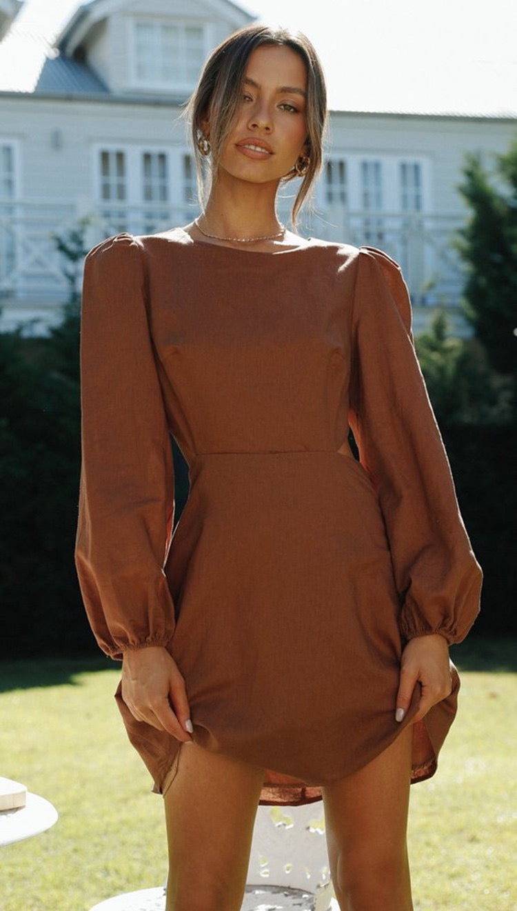 Rose Radiance Puff Sleeve Mini Dress